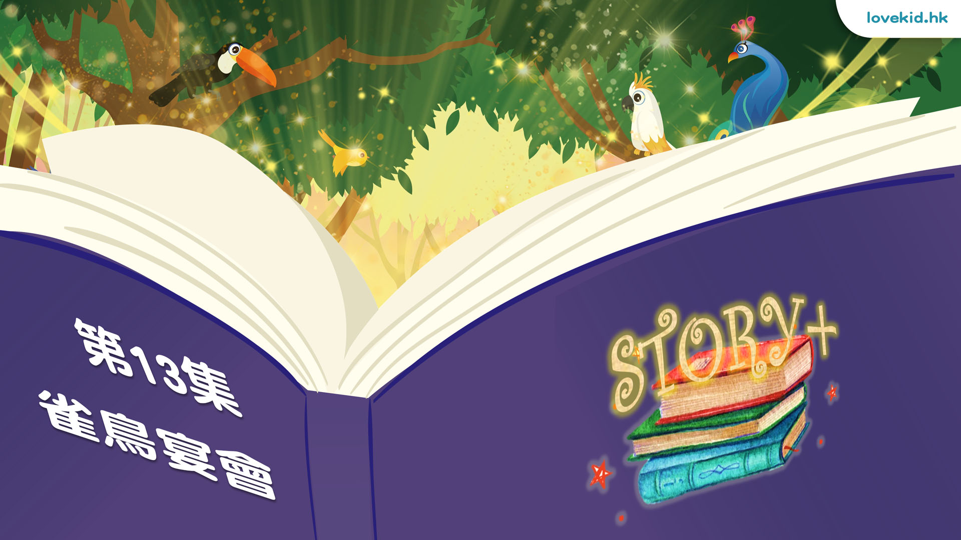 story13