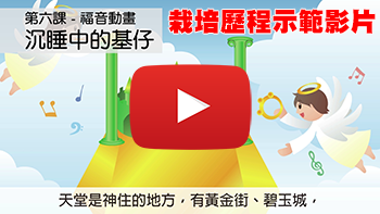 示範影片